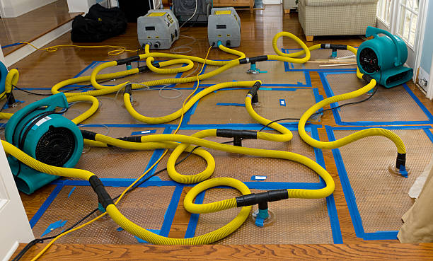 Professional Sewage Cleanup technician working in Clinton, NY